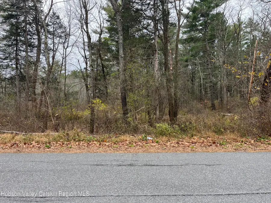 0 All Peat Beds Road, Coxsackie, NY 12051 - Image #2