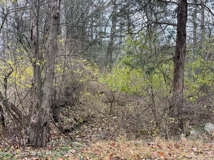 0 All Peat Beds Road, Coxsackie, NY 12051 - Image #3