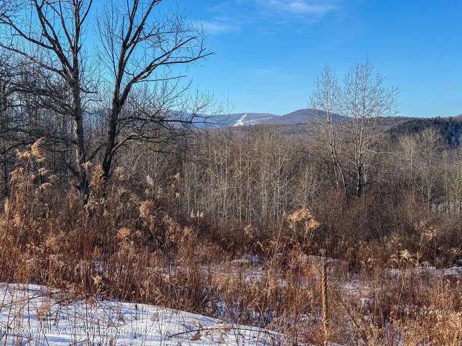 480 Hall Road, Roxbury, NY 12474 - Image #2