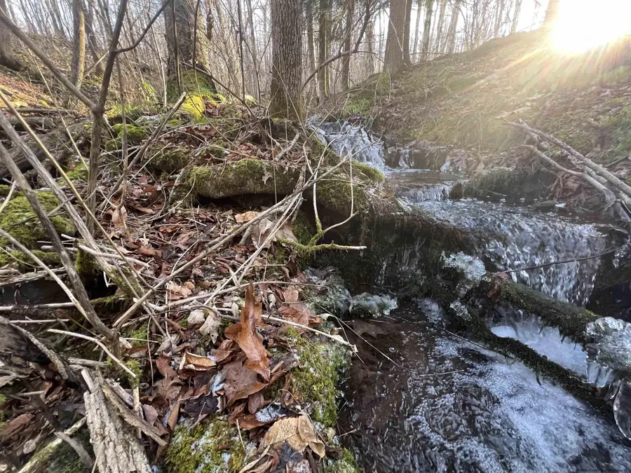 480 Hall Road, Roxbury, NY 12474 - Image #3