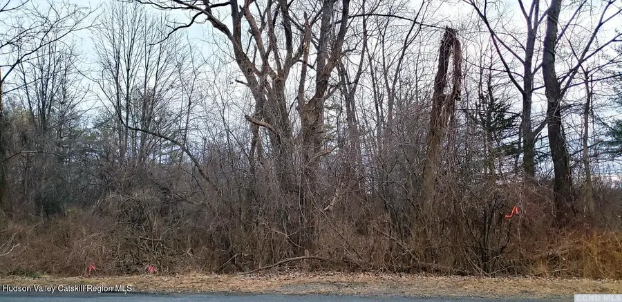 80 Debbie Drive, Athens, NY 12015 - Image #2