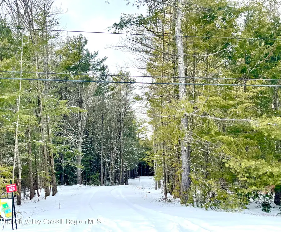 523 Campbell Road, Windham, NY 12496 - Image #3