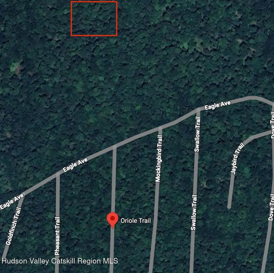 0 Oriole Trail, Mongaup Valley, NY 12762 - Image #3
