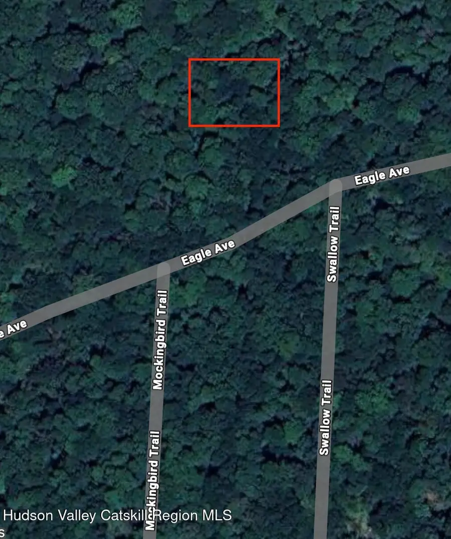 0 Swallow Trail, Bethel, NY 12720 - #2