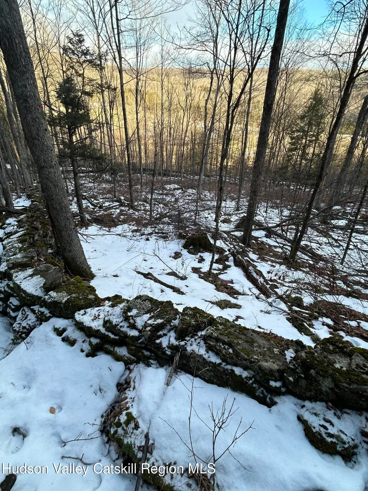 0 Kelly Corners-denver-vega Road, Margaretville, NY 12455 - Image #1