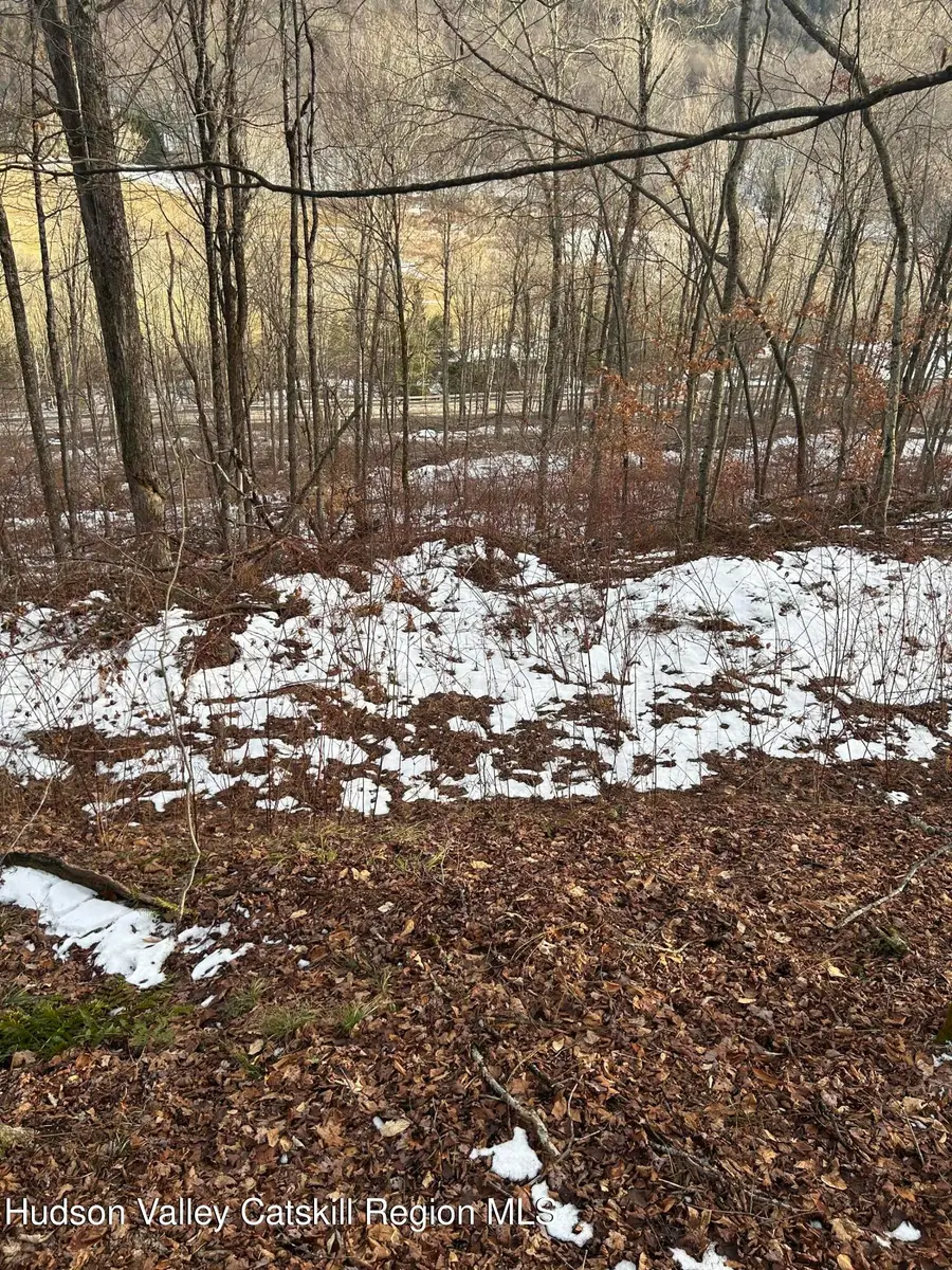 0 Kelly Corners-denver-vega Road, Margaretville, NY 12455 - Image #2