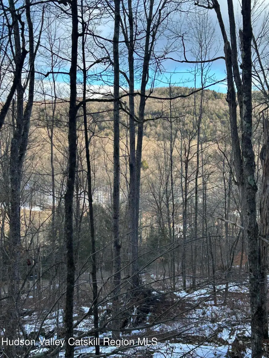 0 Kelly Corners-denver-vega Road, Margaretville, NY 12455 - Image #3
