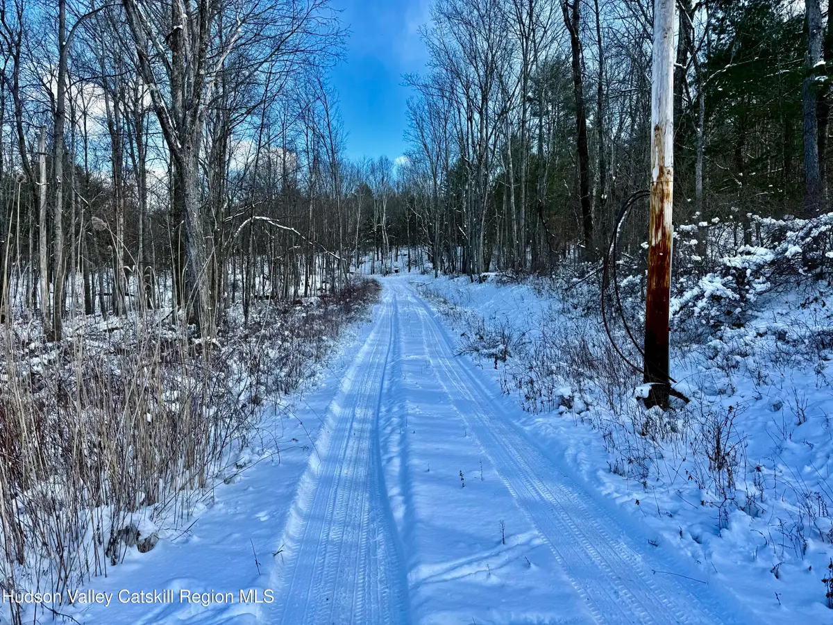 266 Pitts Road, Old Chatham, NY 12136 - Image #1