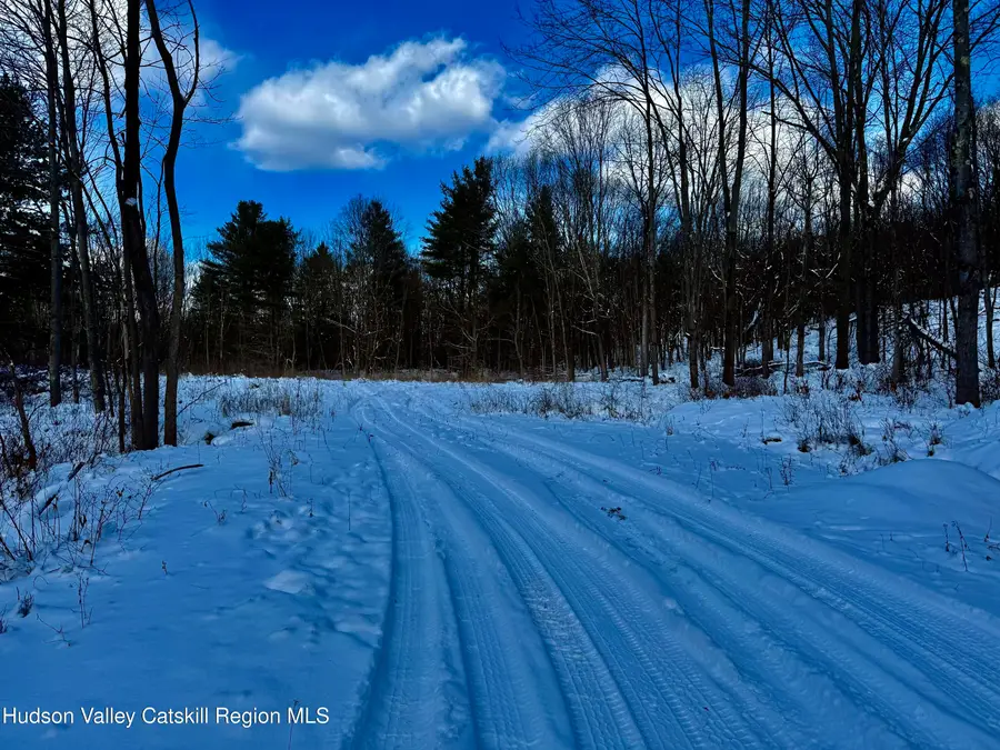 266 Pitts Road, Old Chatham, NY 12136 - Image #3