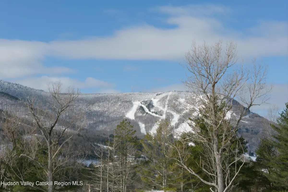 Lot 1 Ruth Court, Hunter, NY 12442 - #1