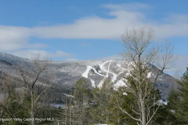 Lot 1 Ruth Court, Hunter, NY 12442