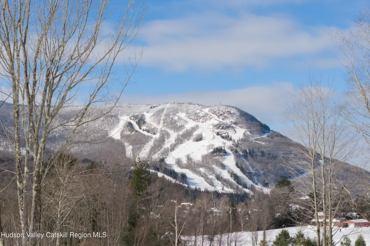 Lot 2 Ruth Court, Hunter, NY 12442 - #1