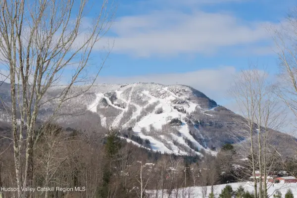 Lot 2 Ruth Court, Hunter, NY 12442