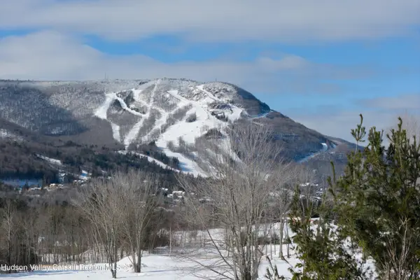 Lot 3 Ruth Court, Hunter, NY 12442