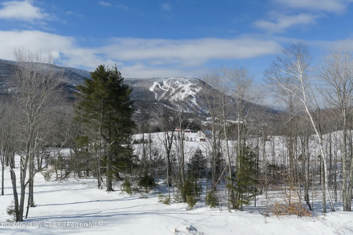 Lot 4 Ruth Court, Hunter, NY 12442 - #1