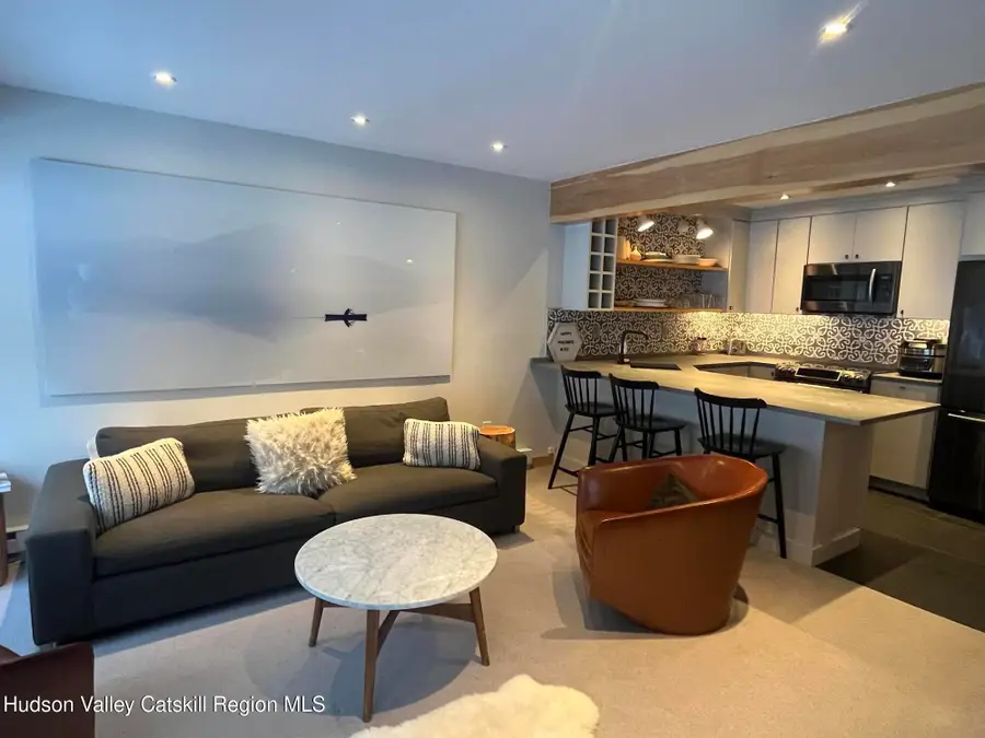 72 Liftside Drive #D-2, Hunter, NY 12442 - #3