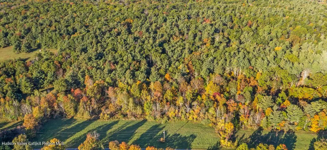 00 Snydertown Road, Craryville, NY 12521 - #1