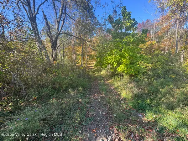 Lot 2 Snydertown Road, Craryville, NY 12521
