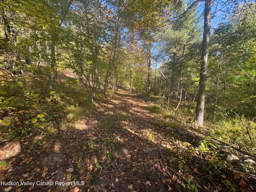 Lot 2 Snydertown Road, Craryville, NY 12521 - #3