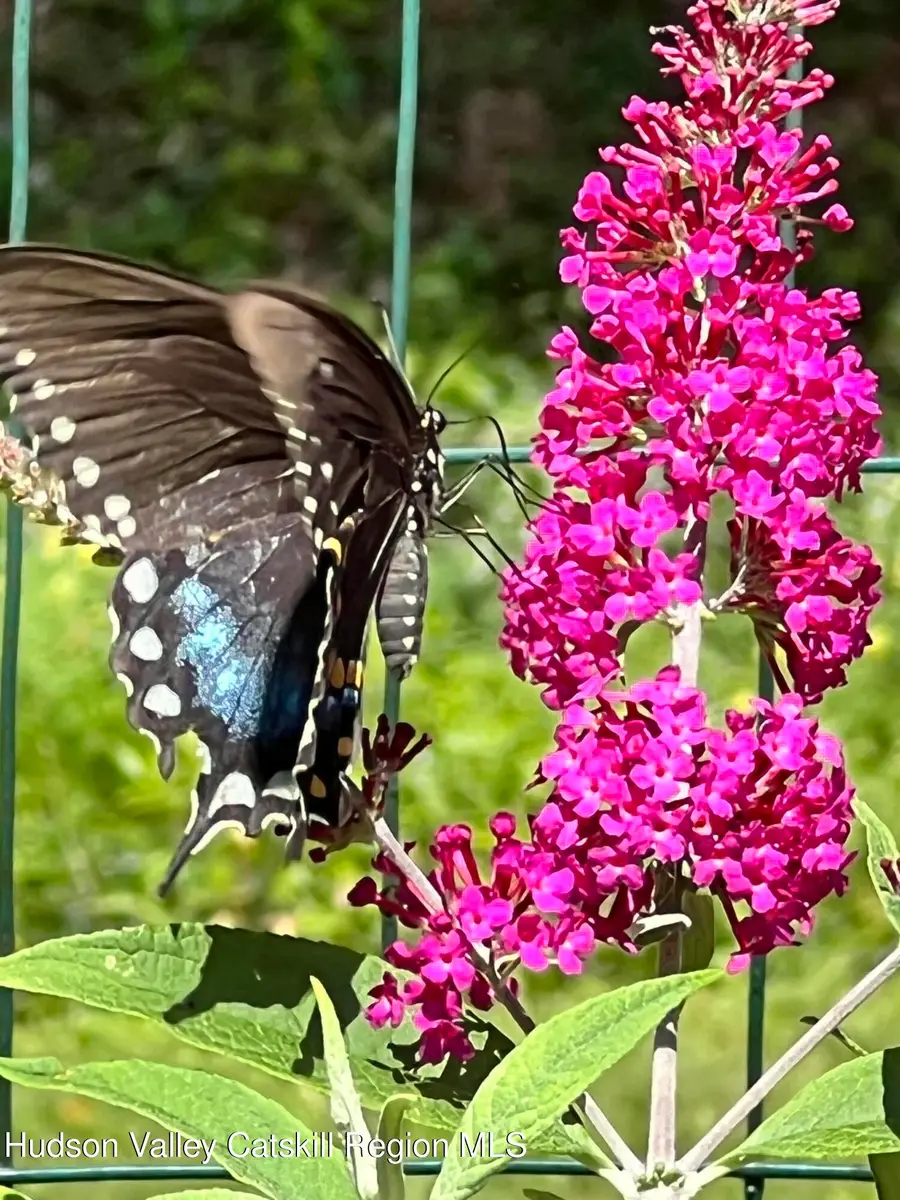 404 John Joy Road, Woodstock, NY 12498 - #3