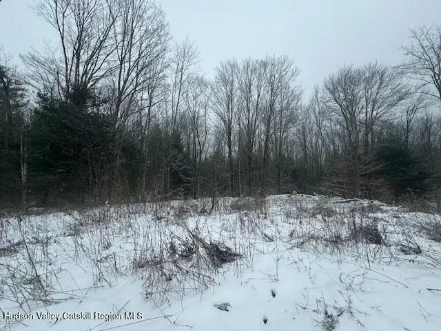Tbd County Route 84, Hastings, NY 13706 - #2