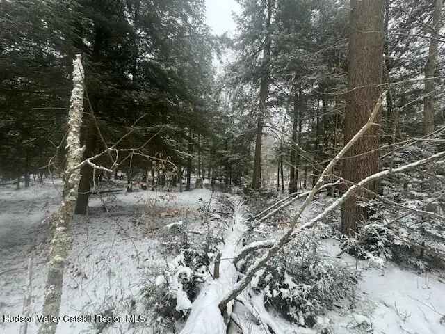 Tbd County Route 84, Hastings, NY 13706 - #3