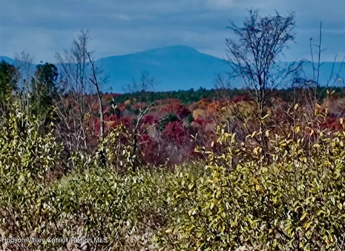 00 Manor Rock Road, Elizaville, NY 12523 - #1