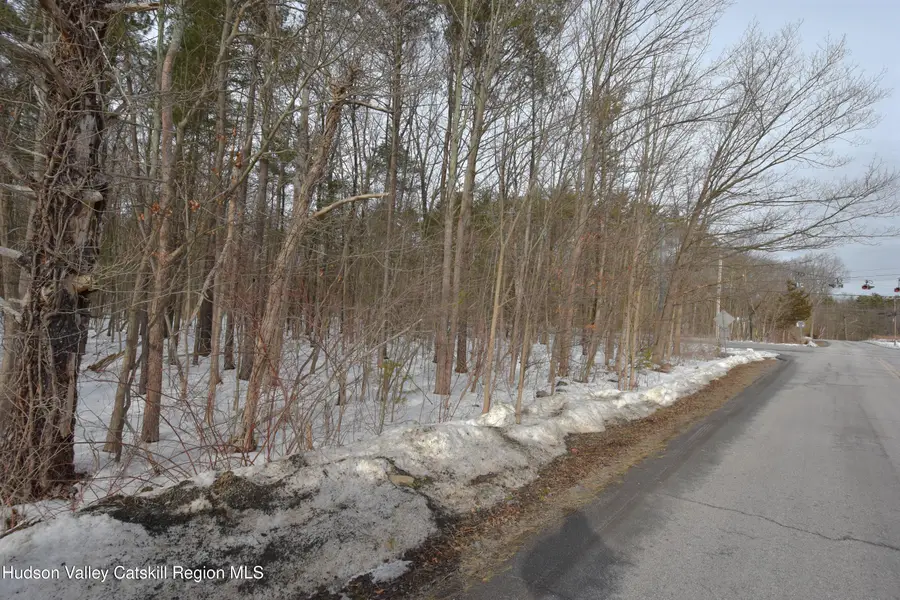 Tbd Silver Spur Road W, Cairo, NY 12413 - #3