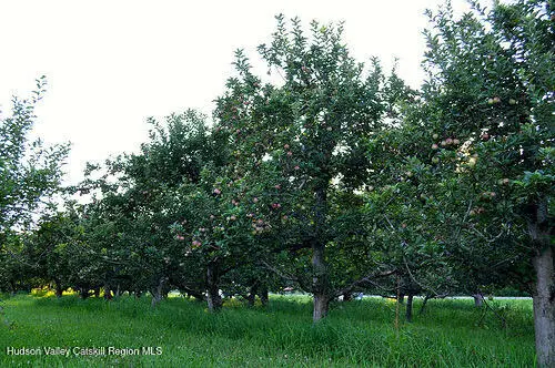 0 Peter's Ln, Valatie, NY 12184 - #3