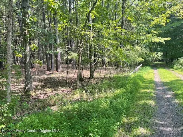 L-5 Gayhead-earlton Road, Greenville, NY 12083 - #1