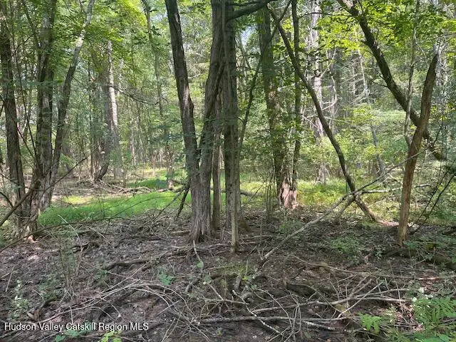 L-5 Gayhead-earlton Road, Greenville, NY 12083 - #3