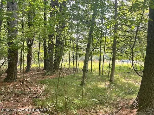 L-25 Gayhead-earlton Road, Earlton, NY 12058 - #3