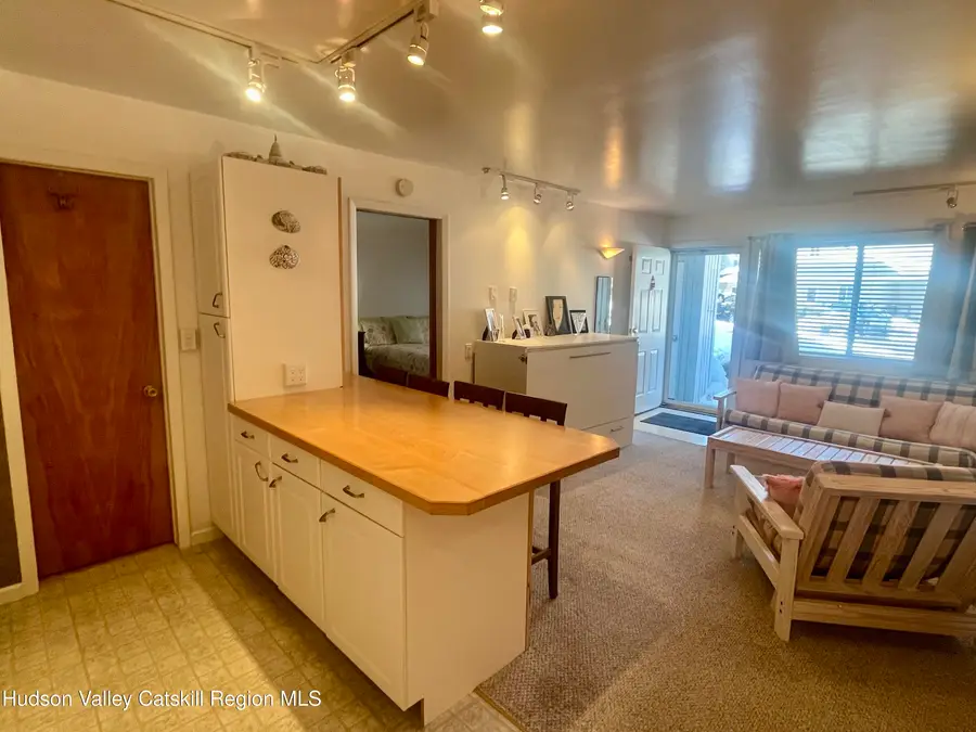 7625 Main Street #A1, Hunter, NY 12442 - #3