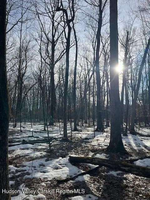 162 Fern Hill Road, Ghent, NY 12075 - #1