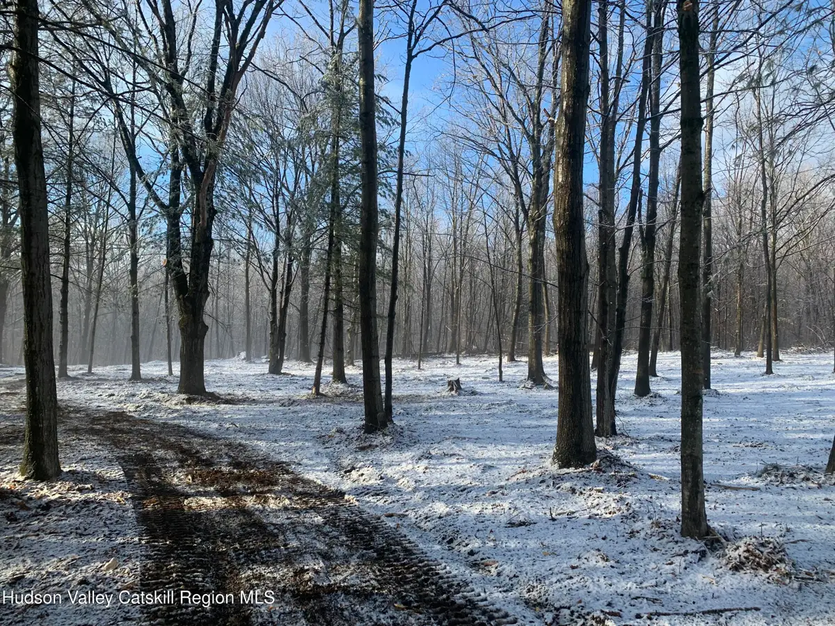 0 Harroway Road, Richmondville, NY 12149 - #1