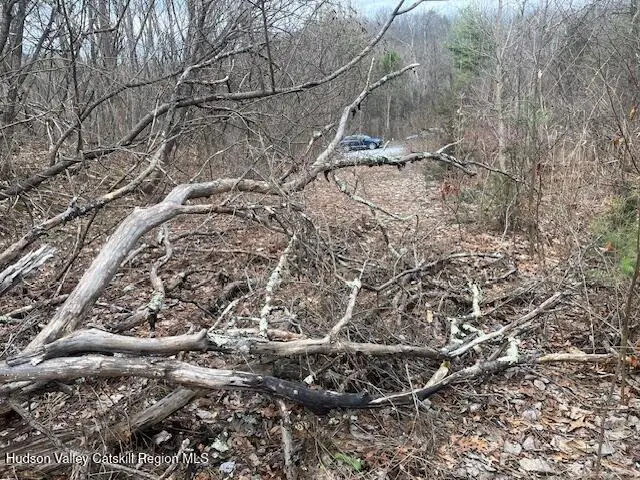 1364 Flintmine Road, Coxsackie, NY 12051 - #3