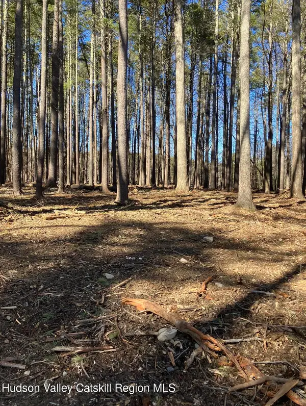 0 Pine Crest Lane, Freehold, NY 12431