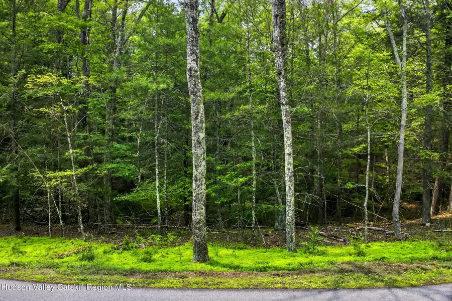 Tbd Dug Hill Road, Hurley, NY 12443 - #3