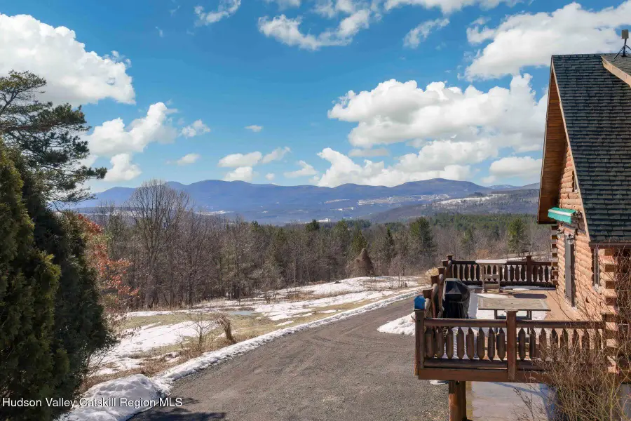 406 Cheese Hill Road, Preston Hollow, NY 12469 - #2