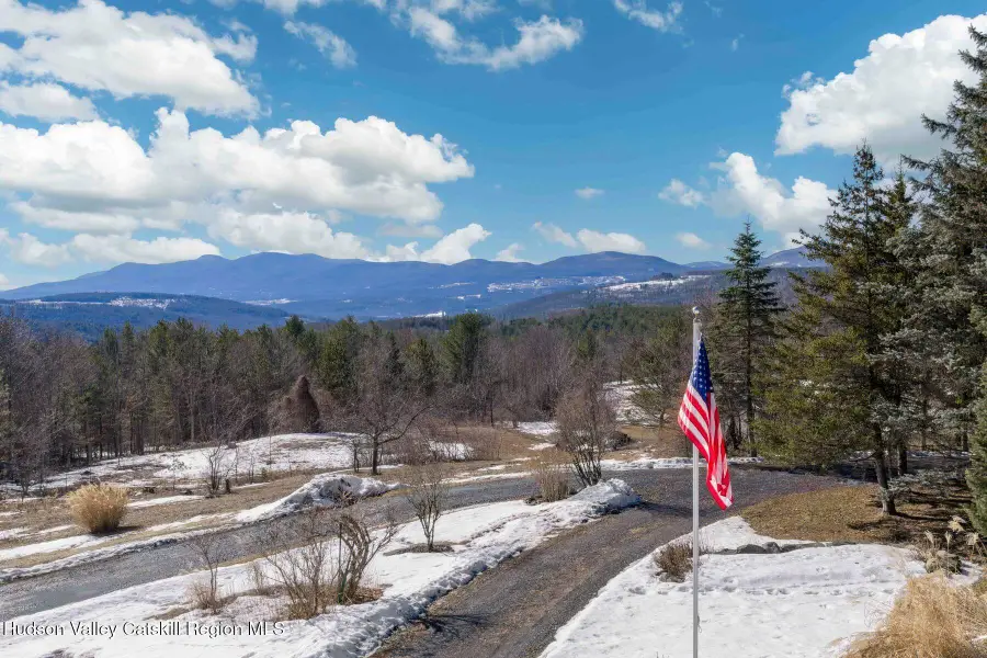 406 Cheese Hill Road, Preston Hollow, NY 12469 - #3