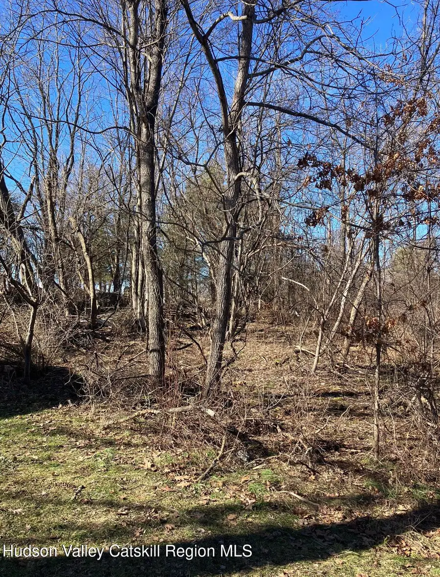 0 Poney Lane, Catskill, NY 12414 - #2