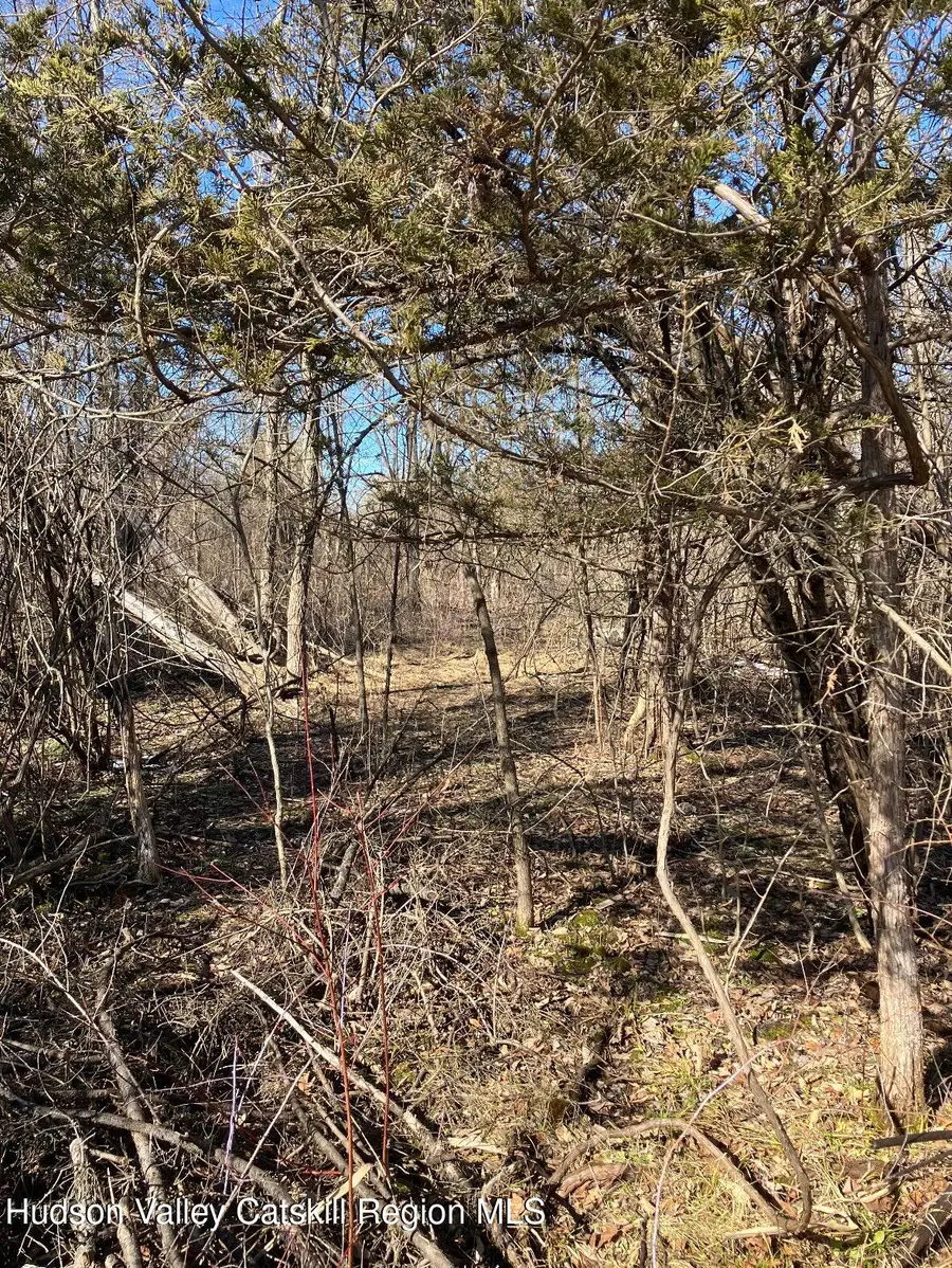 0 Poney Lane, Catskill, NY 12414 - #3