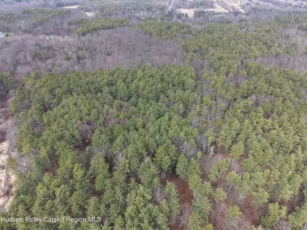 Lot 54 Route 51, Hannacroix, NY 12087