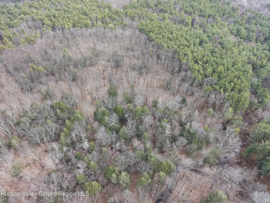 Lot 54 Route 51, Hannacroix, NY 12087 - #3