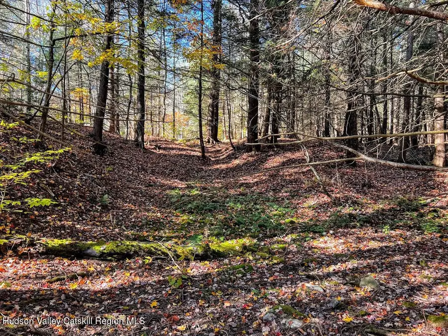 0 New York 23a, Hunter, NY 12442 - #3