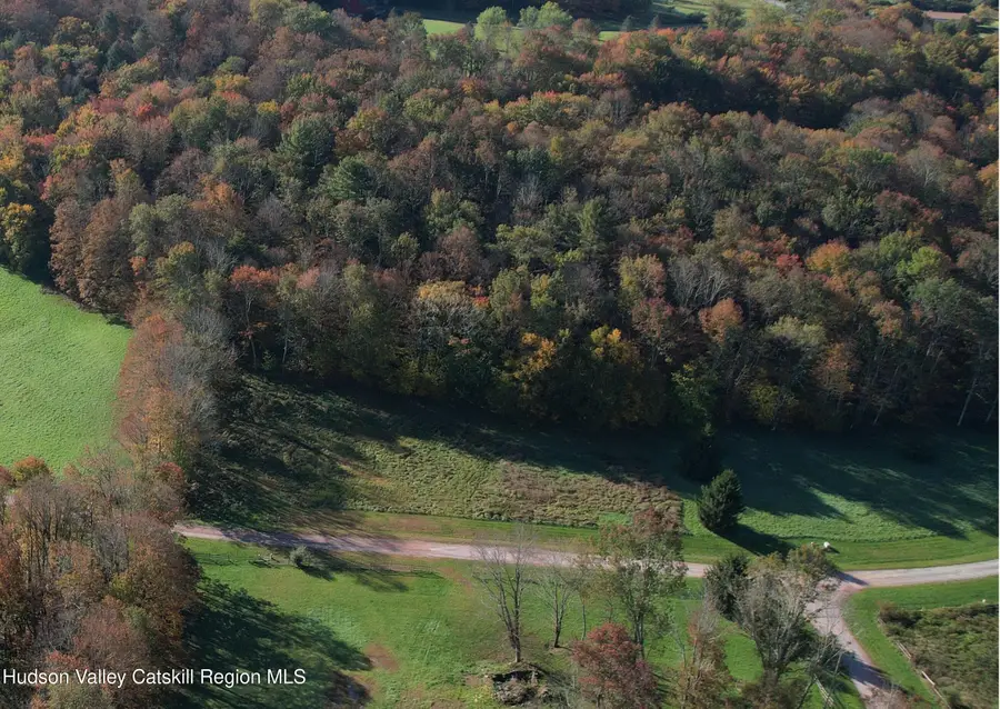 Lot 10 Timber Drive, Cochecton, NY 12726 - #2