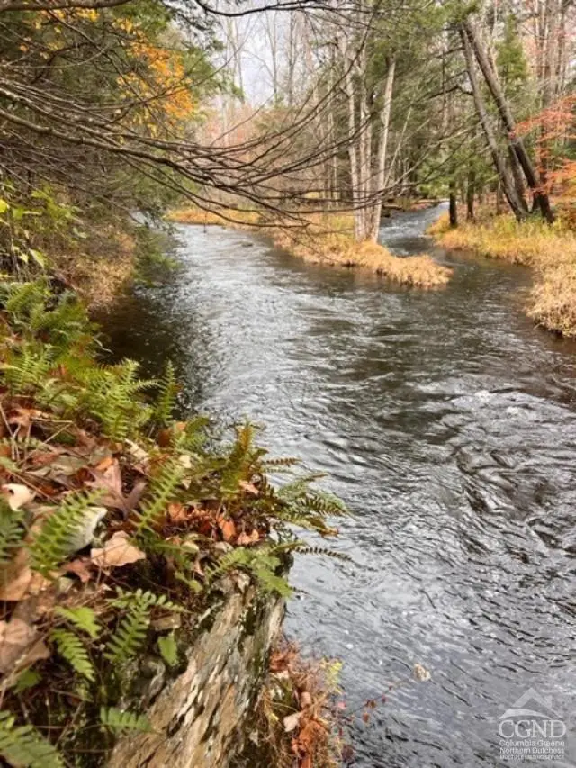 91 Laurie Lane, Earlton, NY 12058 - #1