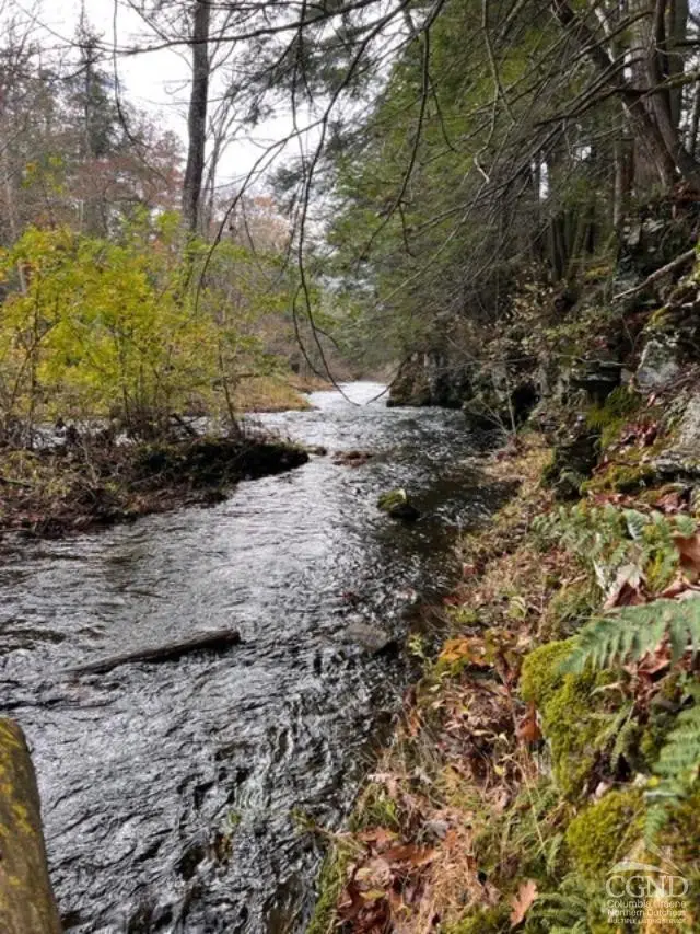 91 Laurie Lane, Earlton, NY 12058 - #3