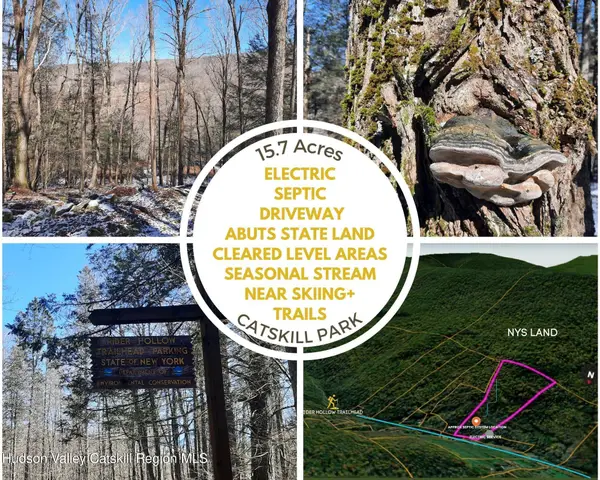 Tbd Rider Hollow Road, Hardenburgh, NY 12406