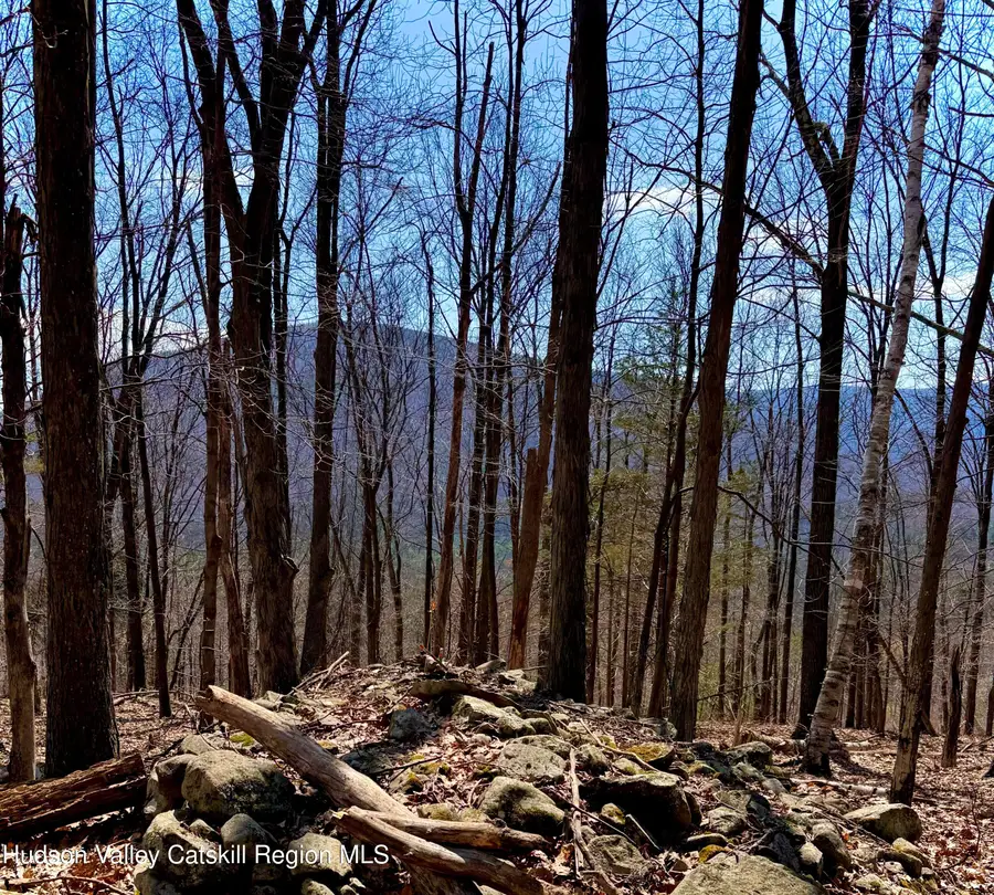 46 Hillside Drive, West Shokan, NY 12494 - #3